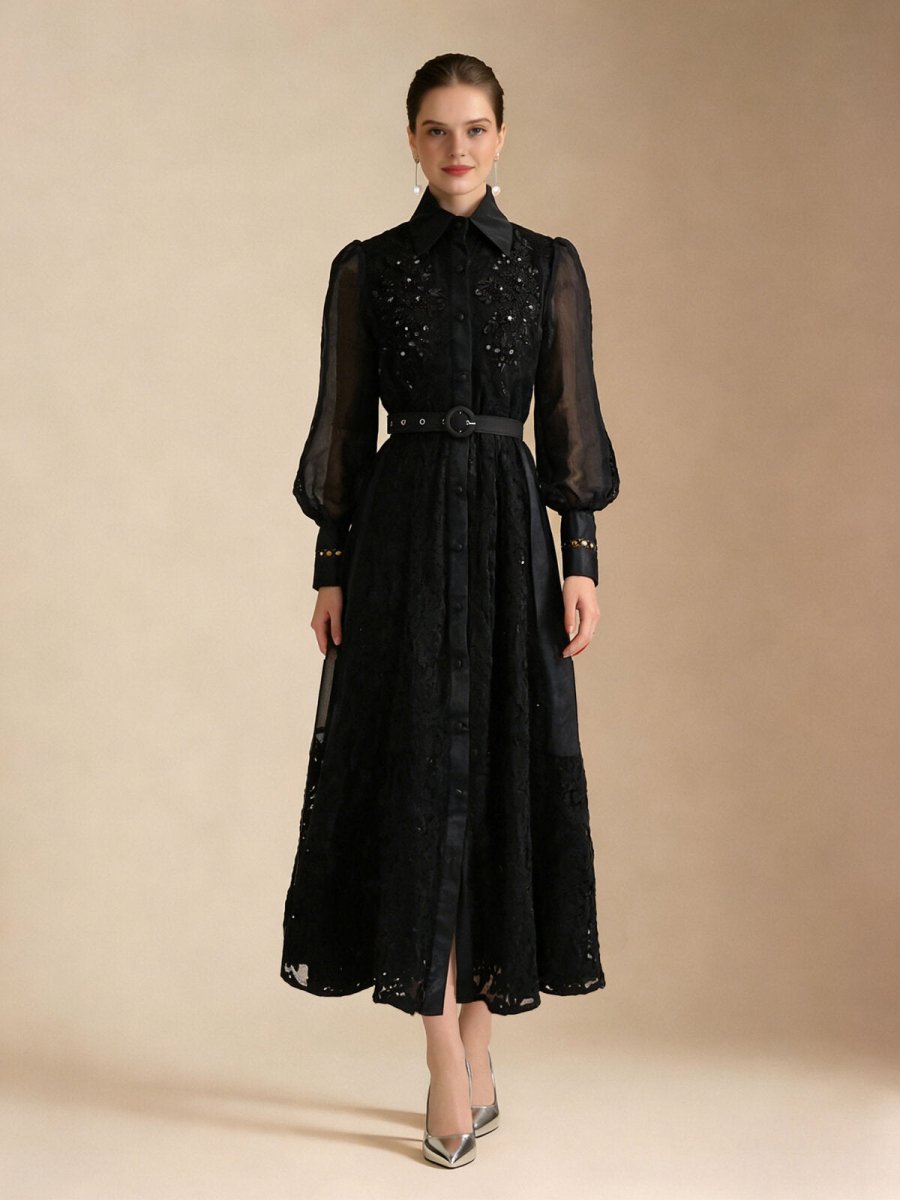 Elegant Embroidered Sheer Sleeve Maxi Dress in black | Salize